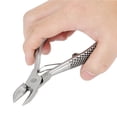 thumbnail image 1 of Tooth  Piglets Tooth  Livestock Tooth  Stainless Steel Ball Spring Tooth  Scissors Teeth Cut For Piglets Livestock Breeding Equipment, 1 of 8