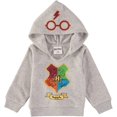 thumbnail image 3 of Harry Potter Boys' 2 Piece Hoodie Fleece Sweatshirt and Jogger Pants Set Grey/Red/Green, 0-3 Months, 3 of 3