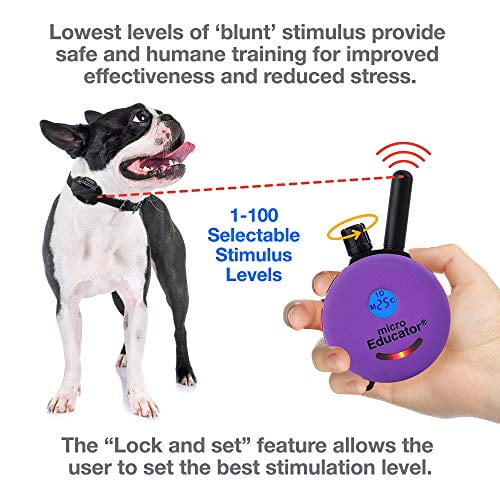 Educator E-Collar Humane Dog Training Collar with Remote, Features