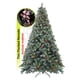 thumbnail image 1 of Árbol De Navidad Nevado Premium * Con Berries Y Piñas * Arizona Cypress De 2.2m De Alto Artego Thin Flocked Nevado Pino Artificial Frondoso + Maleta Transportadora Christmas Tree Decoración Navideña Artego con accesorios piñas y cerezas incluye maleta - 220cm, 1 of 7