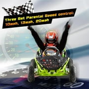 Electric Go Kart, 48V Powered Ride On Car with Steel Tubular Frame, Seat Belt, 13 inch All-Terrain Tires for Teens(GREEN)