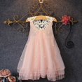thumbnail image 1 of AMERTEER Robe Bébé Fille Dentelle Fleur Tutu Princesse Robe Ligne A Sans Manches Été 2-7 Ans, 1 of 7