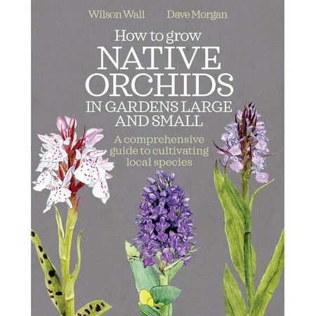 How to Grow Native Orchids in Gardens Large and Small : A comprehensive guide to cultivating local