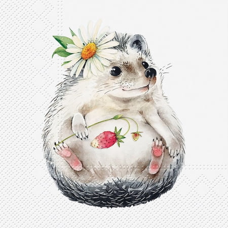 Set of 12 Luncheon Strawberry Hedgehog Napkins 20 Pack