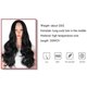 thumbnail image 1 of Body Wave Lace Front Wig Natural Hairline Body Wave Wigs Brazilian Pre-Plucked Lace Front Wigs, 1 of 5