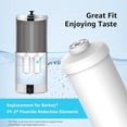 thumbnail image 3 of AQUA CREST Fluoride Water Filter, Replacement for Berkey® PF-2® Fluoride Reduction Elements, Berkey® Gravity Filtration System, NSF/ANSI 372 Certified, Pack of 2, 3 of 9