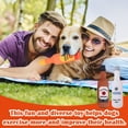 thumbnail image 3 of Glow Pups Whiskey Dog Toy with Squeaker, Fun Alcohol Parody Plush for Puppy Playtime, Interactive & Engaging Whiskey Plush, Funny Dog Toys, Ideal Dogs, Classic Multicolor Style, 3 of 4