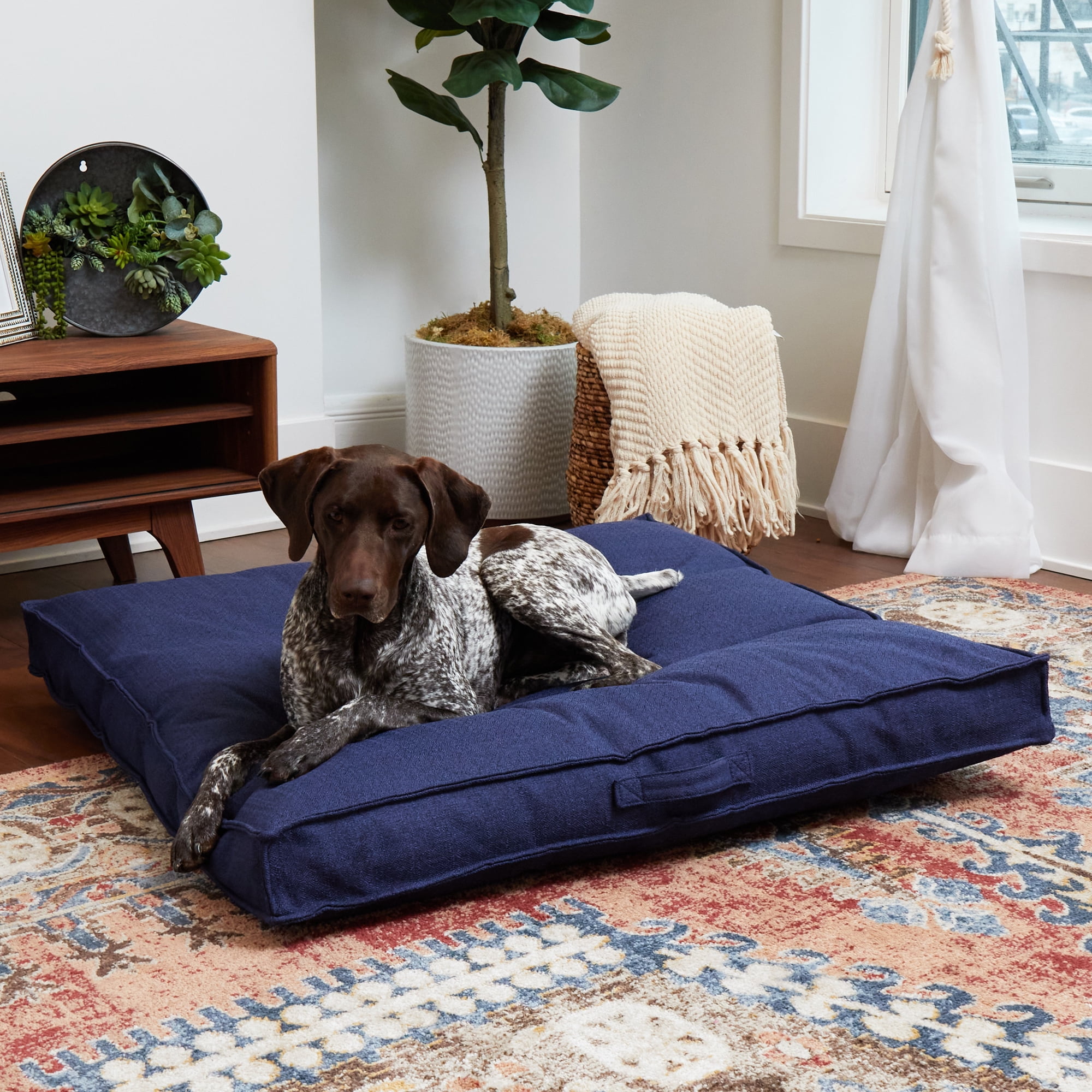Happy Hounds Milo Square Tufted Dog Bed, Cobalt, Large (40 x 40 in.)