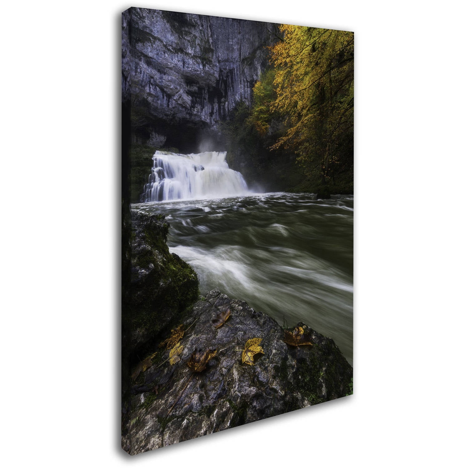 Trademark Fine Art Mathieu Rivrin 'Perfect Harmony' 12" x 19" Canvas Stretched Art Print (190836131907)