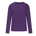 thumbnail image 3 of Lilgiuy Women's Solid Color Round Neck Knitted Long Sleeve Hollow Out Sweater Blouse Streetwear, 3 of 4