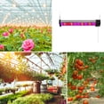 thumbnail image 4 of Sunjoy Tech LED Growth Light Efficient Heat Dissipation High Brightness Energy-saving Non-glaring Plug-and-play Daylight Tube Fruit Plant Growth Light LED Lamp Greenhouse Supplies, 4 of 7