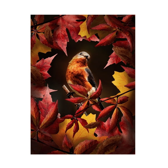 Trademark Fine Art Al Barizi Bird Autumn Canvas Wall Art