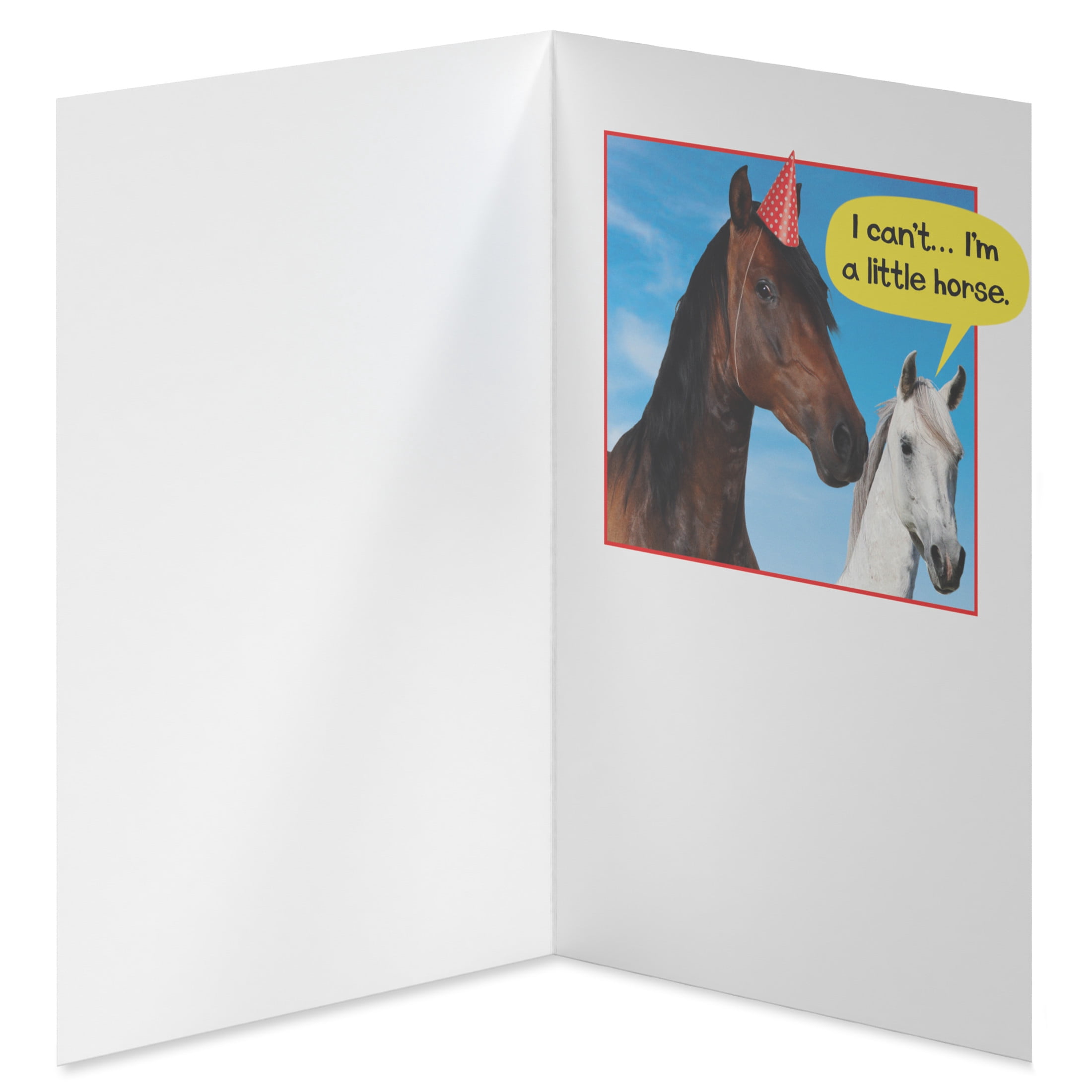 American Greetings Funny Birthday Card for Anyone (Singing Horses)