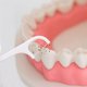 thumbnail image 3 of Flosser Travel Case 4 Pack - 40 palillos de dientes profesionales para el hogar, hotel, viajes, mujeres y hombres ER, 3 of 5