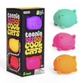 thumbnail image 1 of Juguete Sensory Squeeze Toy Schylling NeedOh Teenie Cool Cat, paquete 1, 1 of 8