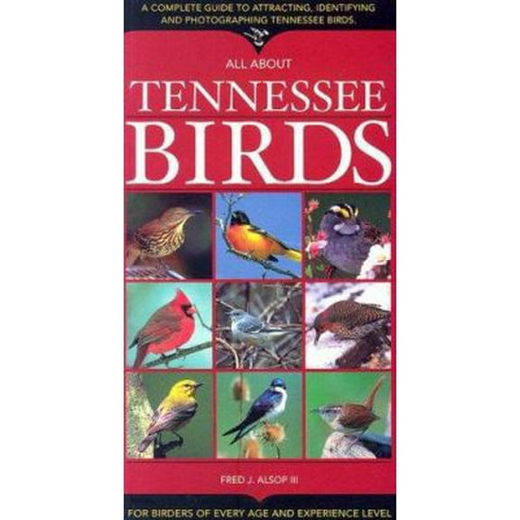Pre-Owned All about Tennessee Birds (Paperback) 1581732120 9781581732122