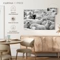 thumbnail image 5 of Elephant Stock Distinct Black Sheep Wall Art - Horizontal Canvas Wall Art - Living Room Wall Decor - Animal Canvas - Gray And Black Decor - 48" x 32", 5 of 8