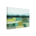 thumbnail image 2 of Trademark Fine Art 'Elevated Crop II' Canvas Art by Grace Popp, 2 of 3