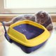 thumbnail image 3 of 1Pc In Type Litter Pan Cat Feed Spatula Cat Ears Semi-closed Litter Pan(Yellow Blue), 3 of 6