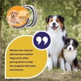 thumbnail image 6 of Calming Collar for Dogs – Pheromone Dog Collar for Anxiety Relief, Helps Support Calm Behavior, Waterproof & Adjustable, Up to 60 Days, One Size Fits Most Dogs, 6 of 7