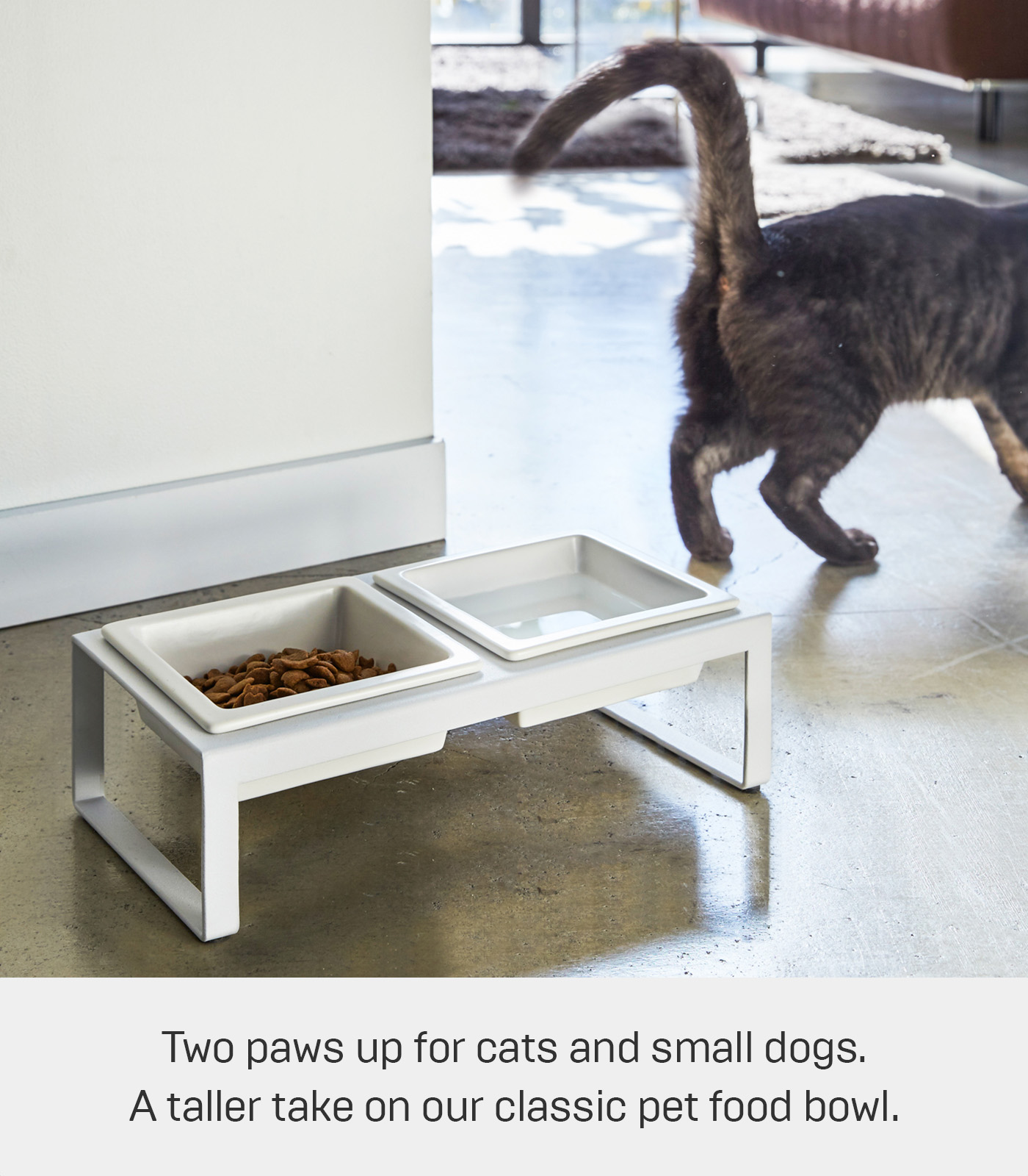 Yamazaki Home Pet Food Bowl - Two Styles, White, Steel + Ceramic, Tall, 1.25 cups, 300 milliliters per bowl, No Assembly