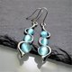 thumbnail image 1 of Sapphire Blue Plastic Drop Earrings - Perfect Anniversary Gift for Her - Silver Hoop Earrings, 1 of 4