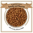 thumbnail image 5 of NUTRO ULTRA Adult Large Breed High Protein Natural Dry Dog Food with a Trio of Proteins from Chicken Lamb and Salmon, 15 lb. Bag, 5 of 12