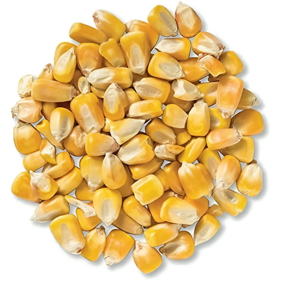 5 Pounds Deer Corn | Deer, Squirrels, Ducks Love It. Sprouts Well