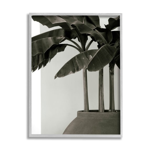 Stupell Industries Modern Tropical Palm Monochromatic Cement Planter, 11 x 14, Design by George Cannon