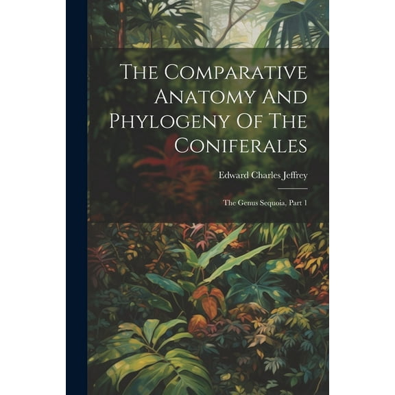 The Comparative Anatomy And Phylogeny Of The Coniferales (Paperback)