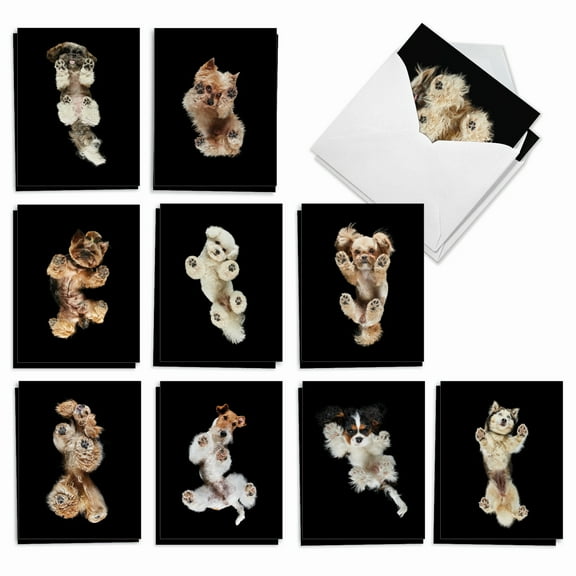 20 All Occasion Blank Cards Assorted (10 Designs, 2 Each) - Little Under Dogs All Occasion (4" x 5.12") AM7184OCB-B2x10