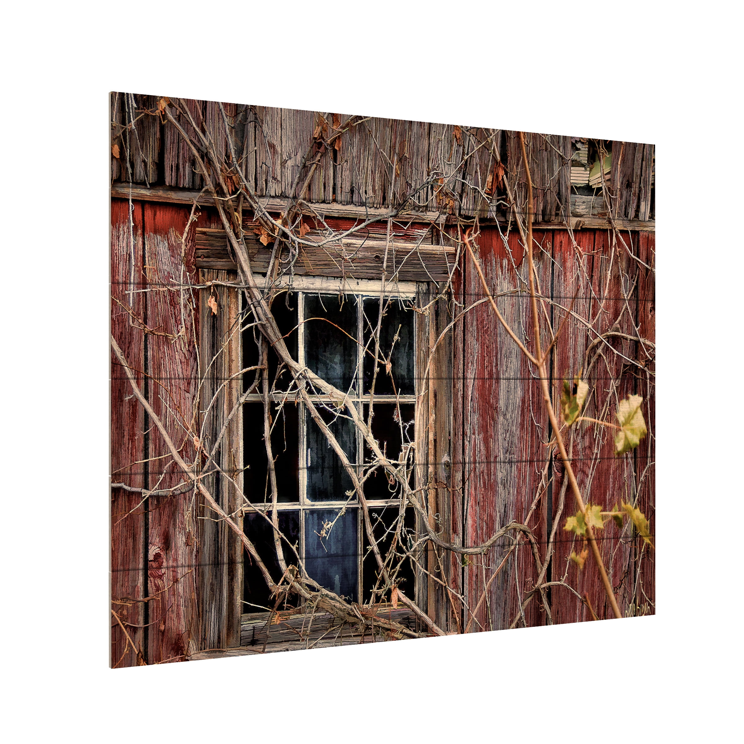 Trademark Fine Art 'Old Barn Window' Wooden Wall Art Art by Lois Bryan