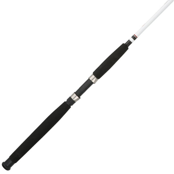 Berkley Big Game™ Spinning Rod, 8' Medium Heavy Fishing Rod, 2