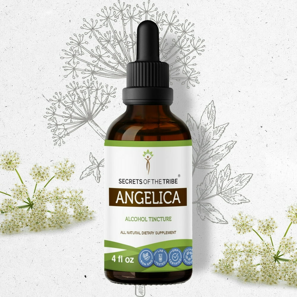 Angelica Tincture Alcohol Extract, Organic Angelica (Angelica