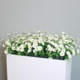 thumbnail image 5 of Fake Flowers for Outdoors 8 Bundles White Silk Artificial Sunflower Plants Faux Greenery for Wedding Home Garden Window Box Outdoor Planters Decor (White Fake mums), 5 of 13
