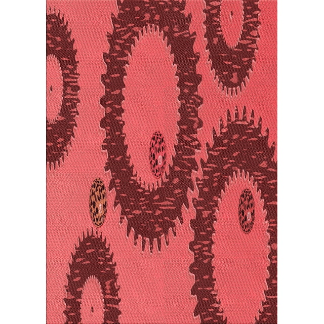 Ahgly Company Tapis d'Intérieur Rectangulaire Rouge Lavable en Machine, 8 Pieds x 12 Pieds