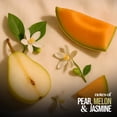 thumbnail image 6 of Eternal Perfume Oils Pear Pressure Perfume Oil for Women & Men, 1.69 fl oz + Bonus 1 fl oz Dropper Bottles (Pack of 2), Alcohol-Free Long-Lasting Concentrated Fragrance, 6 of 8
