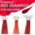 thumbnail image 3 of FRAMESI by Framesi , COLOR LOVER DYNAMIC RED SHAMPOO 16.9 OZ, 3 of 7
