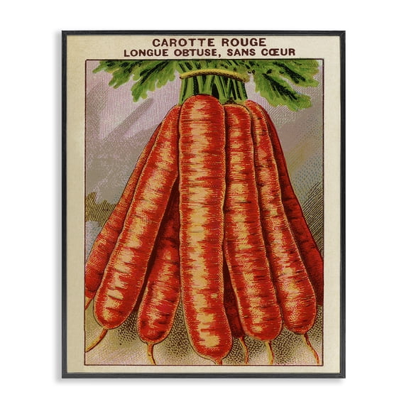Stupell Industries Traditional Country Vintage Carrots Black Framed Giclee Art, 11 x 14, by Lil' Rue