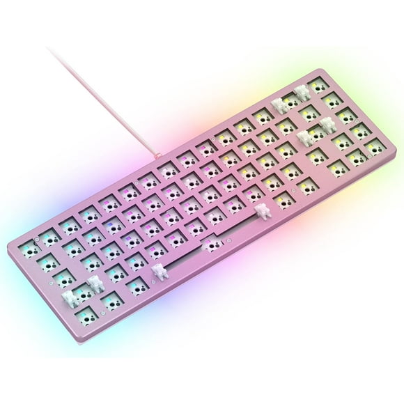 ERDS-Glorious Gaming Keyboard - GMMK 2 Hot Swappable TKL Mechanical Keyboard, Wired, Custom Keyboard - Custom Mechanical Keyboard - Premium Barebones - Compact 65% Keyboard (Pink RGB Keyboard)