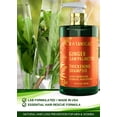 thumbnail image 5 of Botanical Hair Growth Ginger Shampoo with Saw Palmetto for Hair Loss and Hair Thinning Prevention Scalp Energizing Natural Thickening Shampoo For Hair Regrowth Fl Oz, 5 of 9