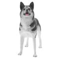 thumbnail image 1 of Modelo de perro de simulación, modelo de perro, adorno de perro de plástico, modelo de perro de pie, juguete cognitivo para niños, 1 of 8