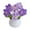 Gradient Purple, variant on WBQ Mini Crochet Potted Plant,Handmade Crochet Forget-Me-Not Knitted Flowers, Small Potted Knitted Forget-Me-Not Flowers for Car Dashboard Home Office Decor Gifts,3.9x2.16 in