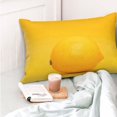 thumbnail image 4 of Rateoe Yellow Lemon Pattern Decorative Pillow Case,Throw Pillow Covers,Plush Pillow Cover,Soft Pillow Case,Velvet Pillow Case-16"x24", 4 of 6