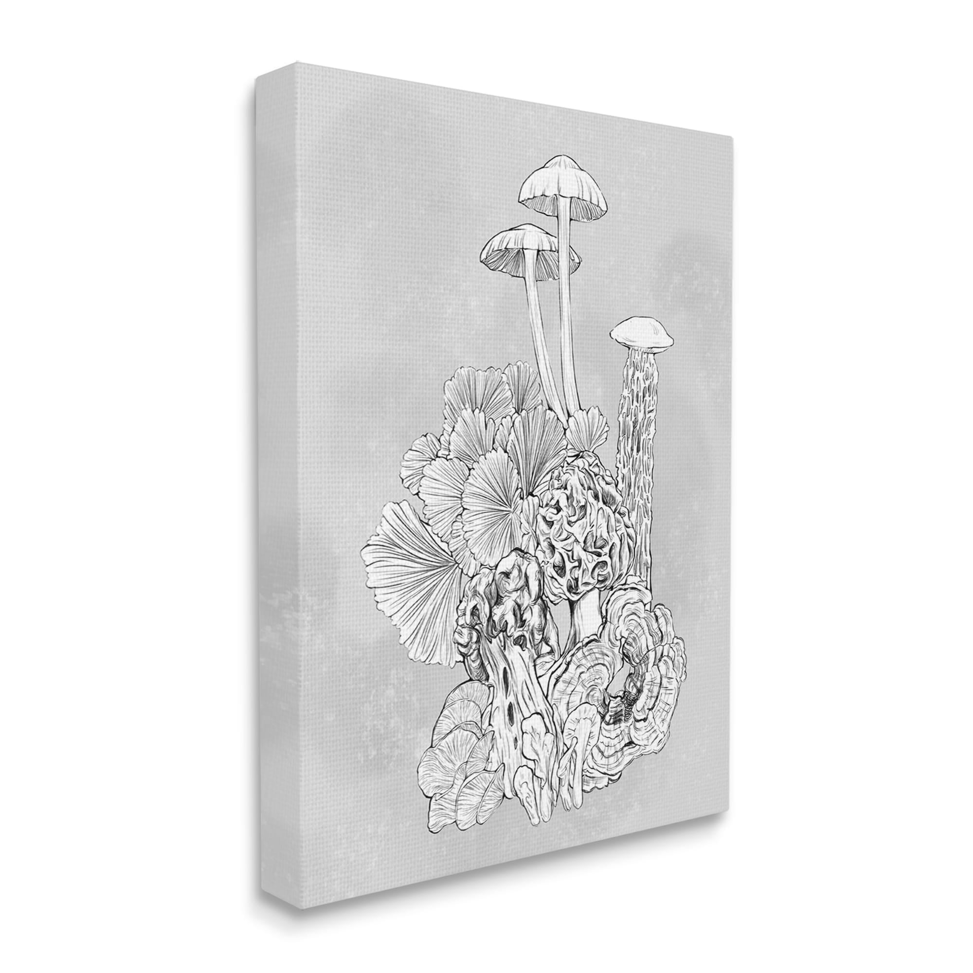 Stupell Industries Detailed Botanical Drawing Mushroom Proliferate Plant Study,24 x 30, Design by Ziwei Li
