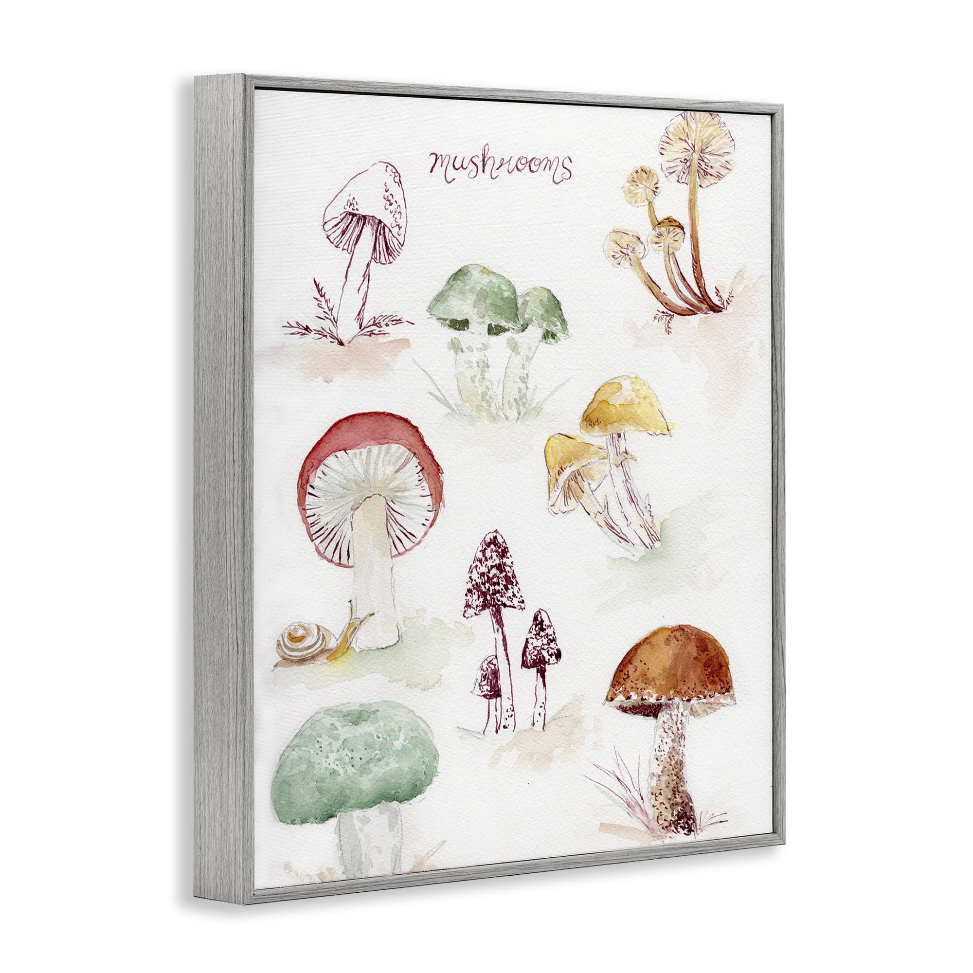 Stupell Industries Types Of Mushrooms Botanical & Floral Painting Gray Framed Art Print Wall Art, 24 x 30