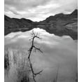 thumbnail image 3 of Black and White Duvet Cover Set, Scenic Tranquil Landscape with Lake Nature View Monochrome Photo, Decorative 3 Piece Bedding Set with 2 Pillow Shams, Queen Size, Black White Grey, by Ambesonne, 3 of 3