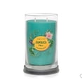thumbnail image 3 of Yankee Candle Jamaica Vibes, Caribbean Collection 20 Oz 2-Wick Tumbler Candle, Tropical Palm & Patchouli Scent, 3 of 3