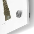 thumbnail image 3 of Epic Art 'Wild and Free VI' by James Wiens, Acrylic Glass Wall Art, 24"x36", 3 of 8