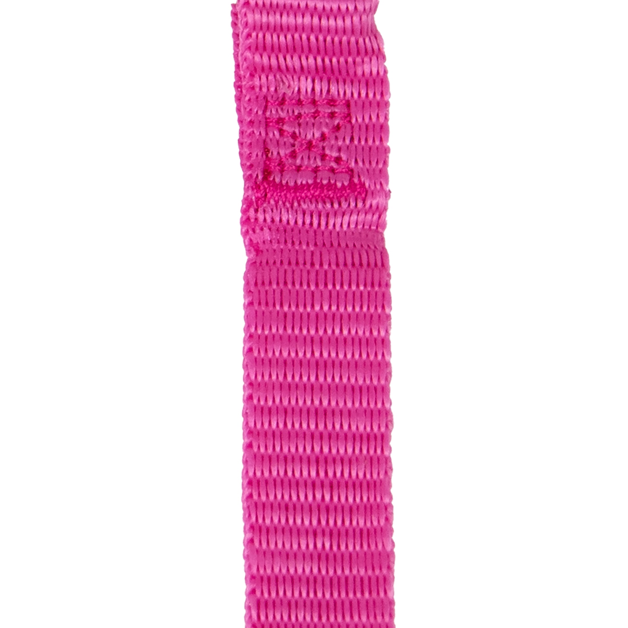 Pet Champion 4' Metal Standard Dog Leash, Pink, S